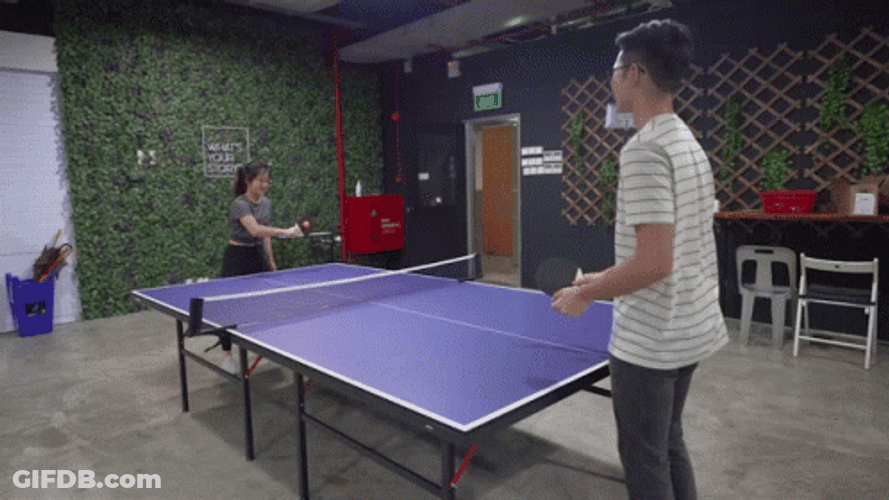 Ping Pong Inside The Room GIF