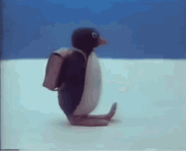 Pingu Going To School GIF