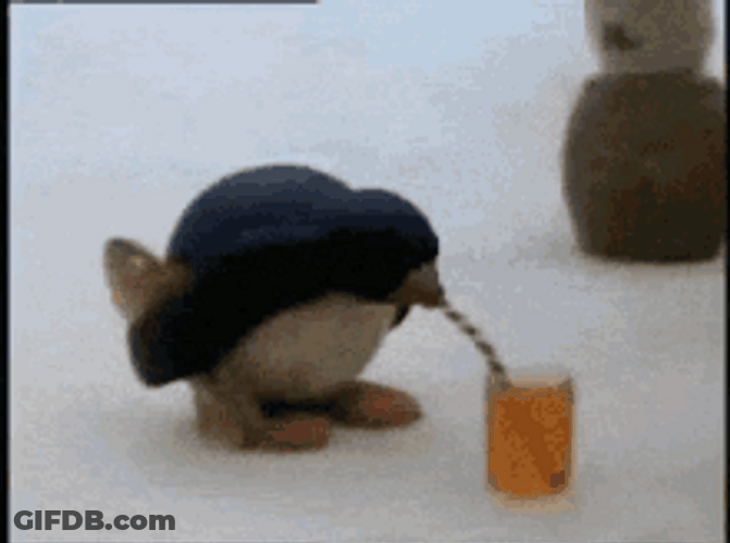 Pingu Penguin Drinking Juice GIF