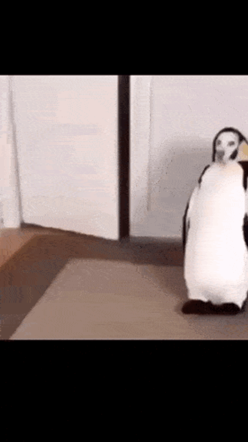 Pinguiino GIF