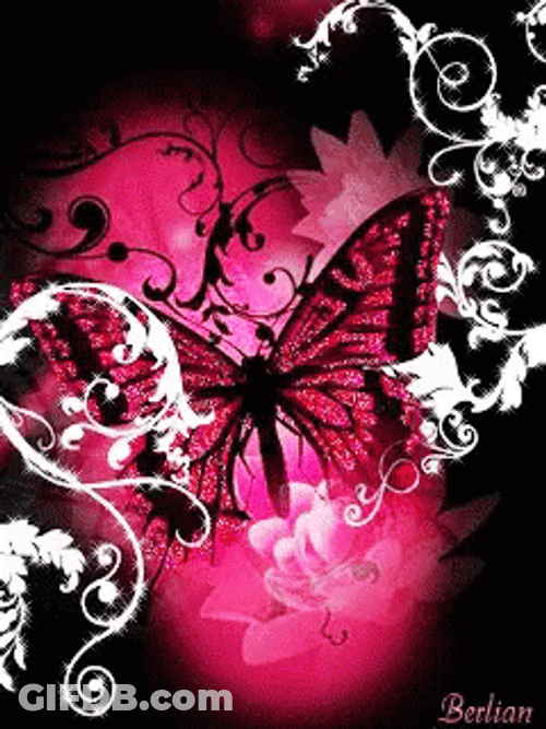 Pink And Black Butterfly GIF