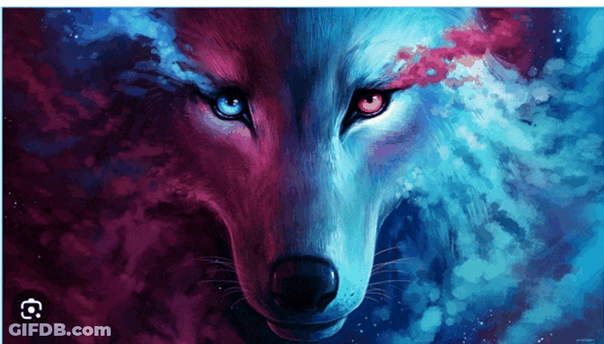Pink And Blue Wolf Meme GIF