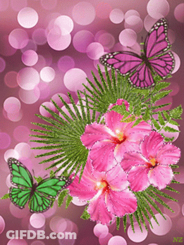 Pink And Green Butterflies Are Flying Around Pink Flowers On A Pink Background GIF