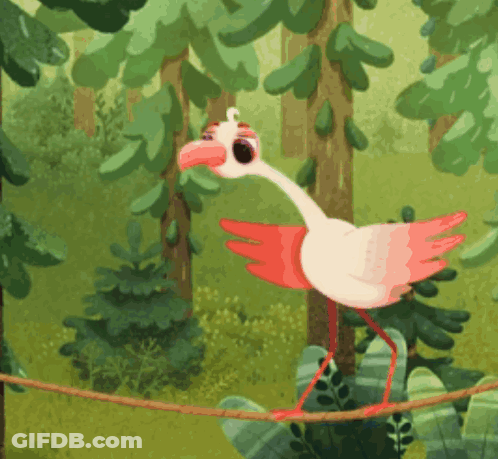 Pink And White Bird Standing On Rope GIF