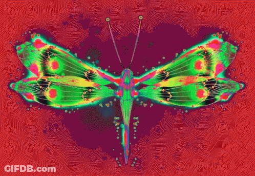 Pink And White Butterfly On Blue Dots GIF