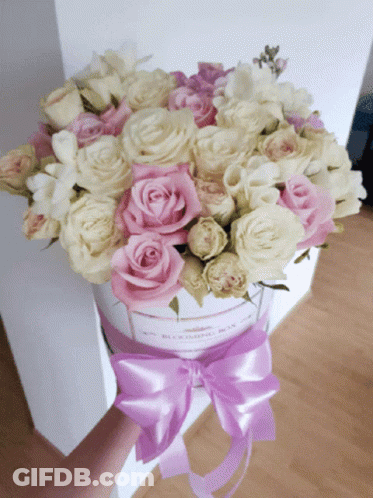 Pink And White Roses In Box With Purple Bow GIF