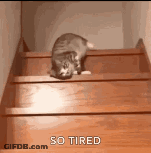 Pink And White Teddy Bear Making Angry Face GIF