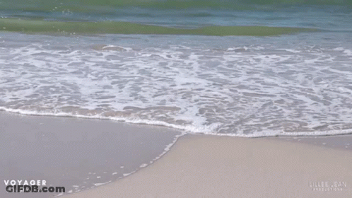 Pink And Yellow Flower 4Gifs.com GIF