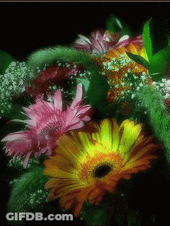Pink And Yellow Flower Bouquet GIF