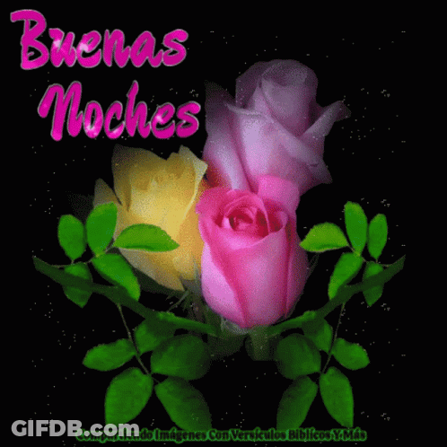 Pink And Yellow Roses On A Black Background With The Words Buenas Noches Above Them GIF