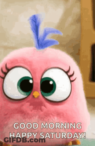 Pink Angry Bird Saying Good Morning GIF