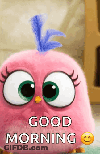 Pink Angry Bird With Blue Feather Saying Good Morning GIF