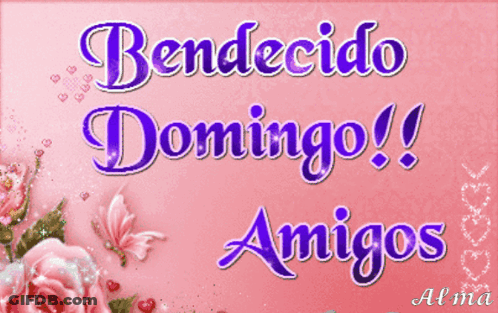 Pink Background Bendecido Domingo Amigos GIF