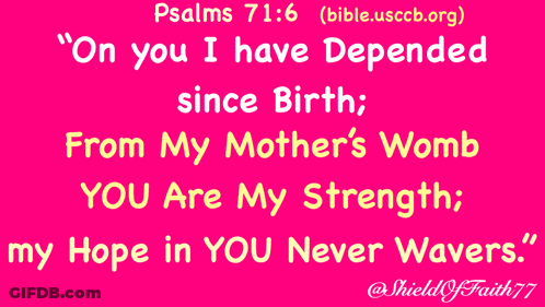 Pink Background From My Mother's Womb GIF