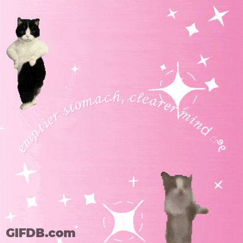 Pink Background Two Cats Emptier Stomach Clearer Mind GIF