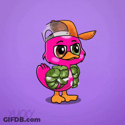 Pink Bird In Hat And Jacket GIF