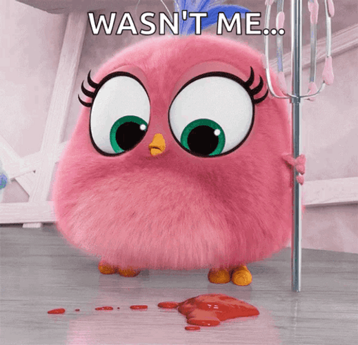 Pink Bird Says It Wasn't Me GIF