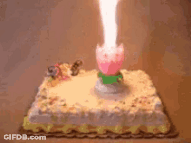 Pink Birthday Candles Opening Flower Formation GIF
