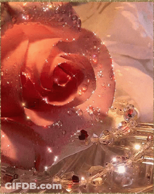 Pink Blooming Glittery Roses GIF