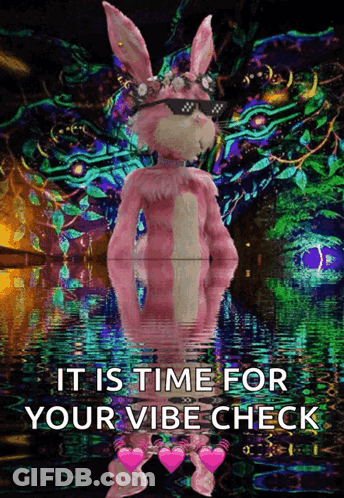 Pink Bunny In Sunglasses And Flower Crown Saying Time For Your Vibe Check GIF