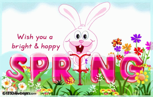 Pink Bunny Spring Greeting Card GIF