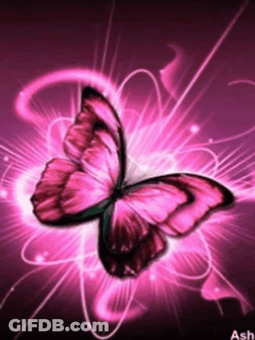 Pink Butterfly Glowing Sparkle GIF