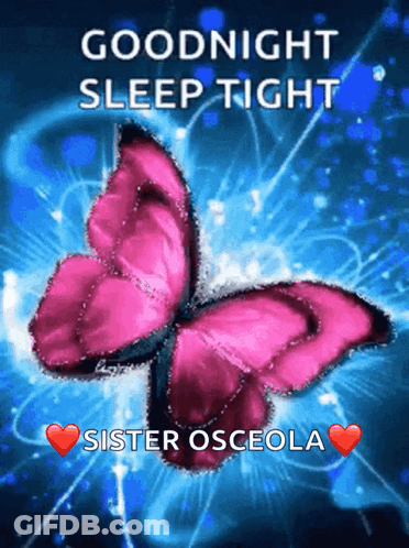 Pink Butterfly On Blue Background Goodnight Sleep Tight GIF
