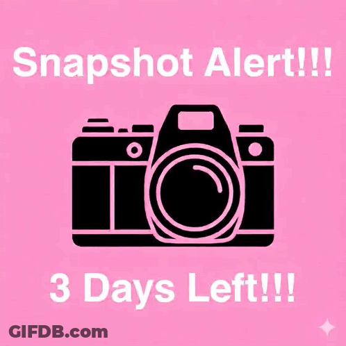 Pink Camera Circle Snapshot Alert GIF