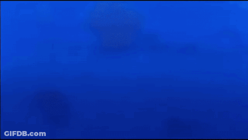 Pink Cartoon Character Swimming In Ocean With Blue Sky GIF