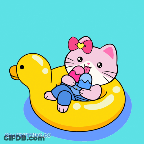 Pink Cat Floating On Yellow Duck Float Saying Chillin GIF