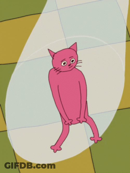 Pink Cat Party Dress Up GIF
