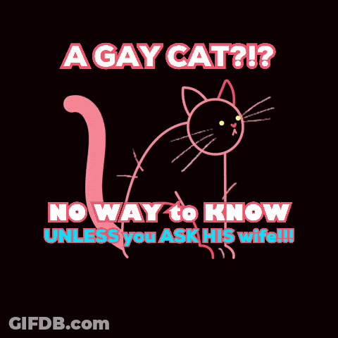 Pink Cat Poster Saying A Gay Cat GIF