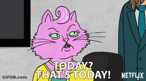 Pink Cat Saying Today Netflix GIF