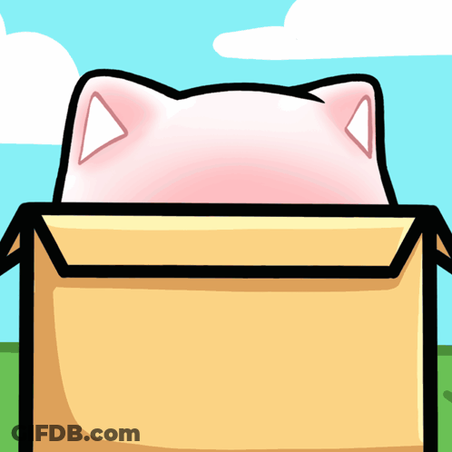 Pink Cat Sitting In Cardboard Box Saying Hello GIF