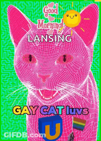 Pink Cat With Rainbow Flag And Balloon On Head GIF