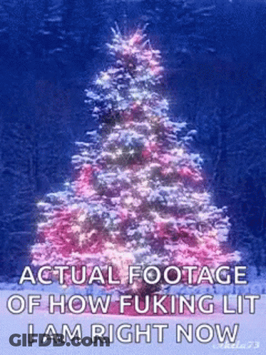 Pink Christmas Tree Actual Footage Of How Fucking Lit I Am Right Now GIF