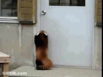 Pink Circle Saying I Love You GIF