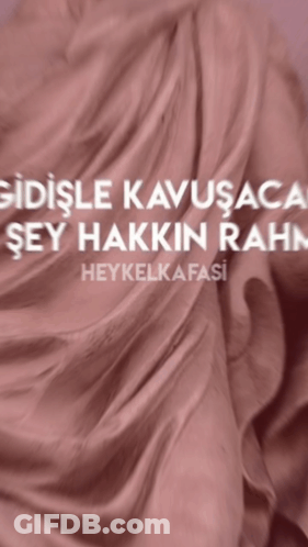 Pink Cloth Saying Heykelkafasi GIF