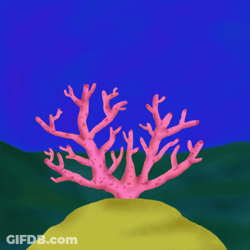 Pink Coral With Sunglasses GIF
