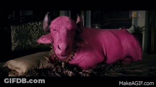 Pink Cow Lying On Bed GIF