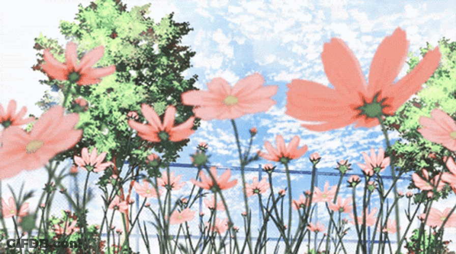 Pink Daisies Anime Flower GIF