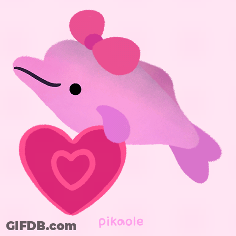 Pink Dolphin With Pink Bow Holding Heart GIF