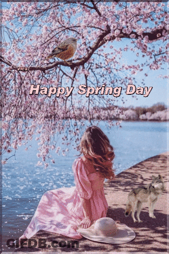 Pink Dress Girl Under Cherry Blossom Tree Happy Spring Day GIF