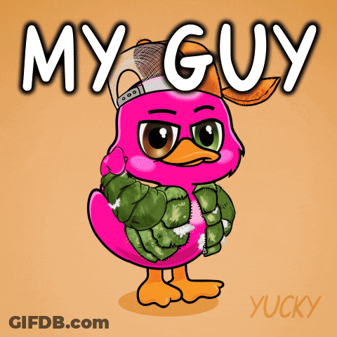 Pink Duck In Hat And Jacket Saying My Guy GIF