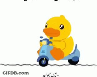 Pink Duck Next To Yellow Duck On Scooter GIF
