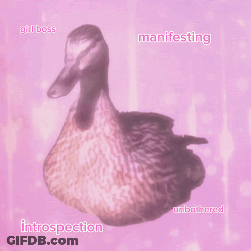 Pink Duck Saying Girl Boss Manifesting Introspection And Unbothered GIF
