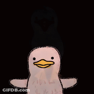 Pink Duck With Yellow Feet GIF