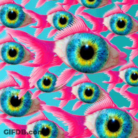 Pink Fish With Blue Eyes GIF