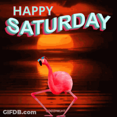Pink Flamingo Dancing In Sunglasses Happy Saturday GIF