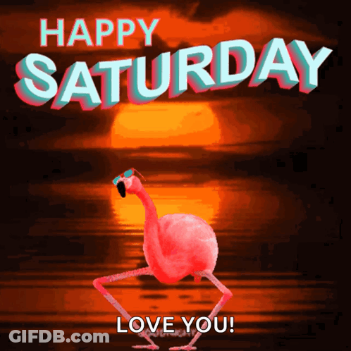 Pink Flamingo Dancing Sunglasses Happy Saturday Love You GIF